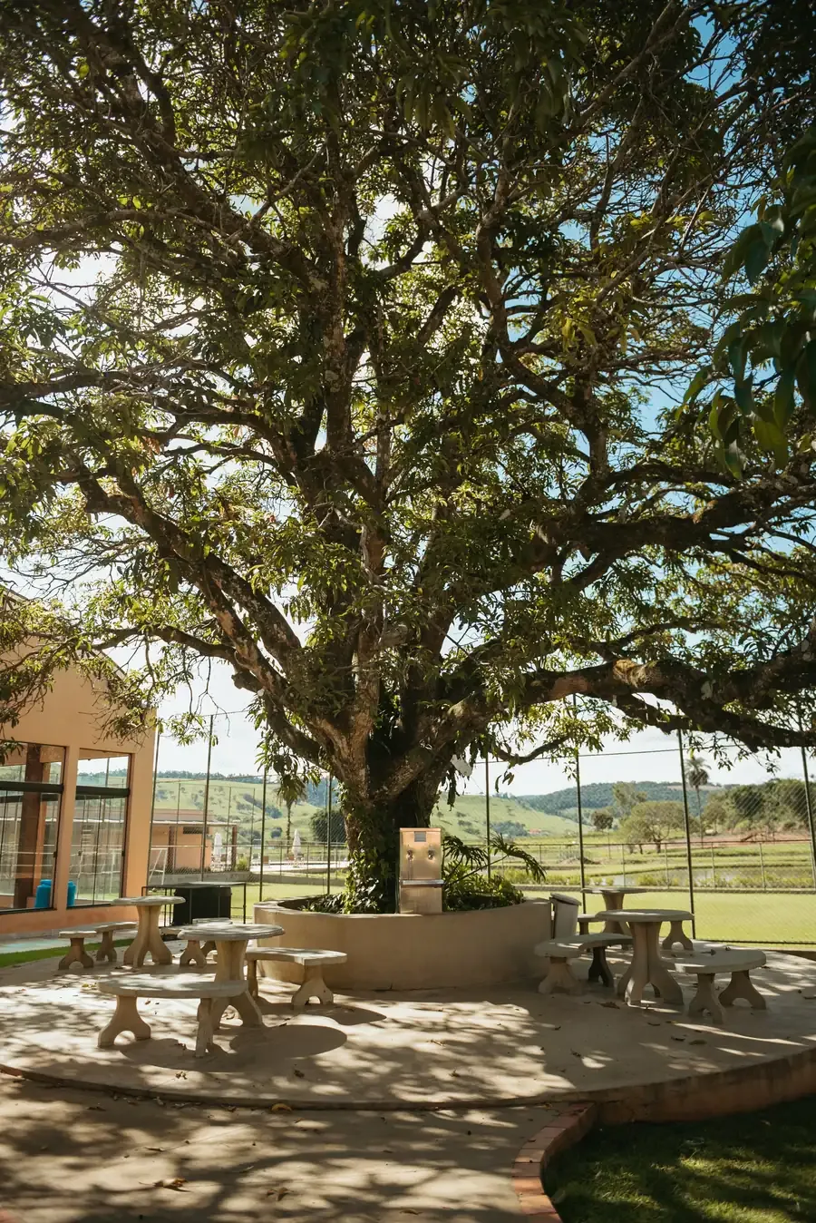Natureza em volta
