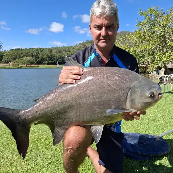 Pesca recreativa